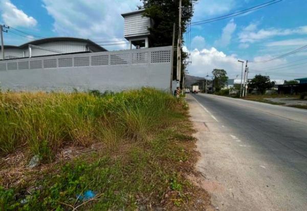 ����Ҫ� �� goodlada24