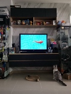 ��ǹ������� ������