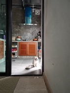 ��ǹ������� ������ 21.30 ���ҧ��