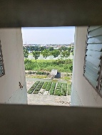 �͹� �ҧ����