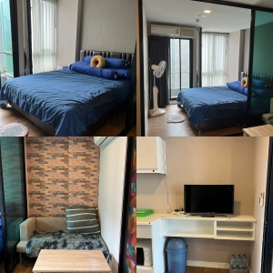 �չ���� �� All Living