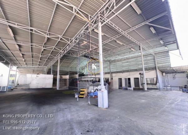 ��¡�ا෾ �� Kong property