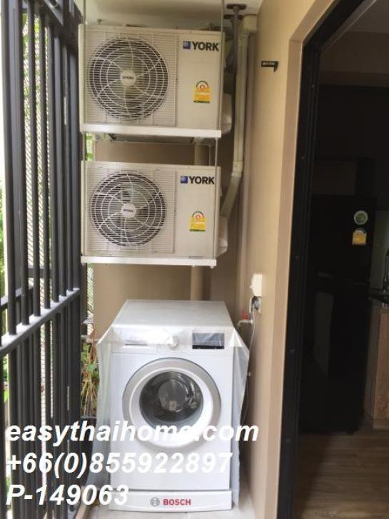 �͹ⴵҡ�Թ �ҷ�