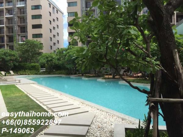 �͹�������ͧ��俿�� �ҷ�