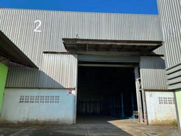 �Ԥ��Ѳ�� �� goodlada24