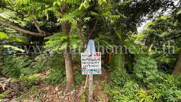 ��·��Թ �ҧ�͡�˭��ا෾