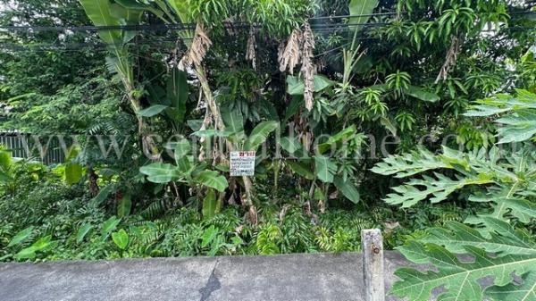 ��·��Թ �ҧ�͡�˭��ا෾