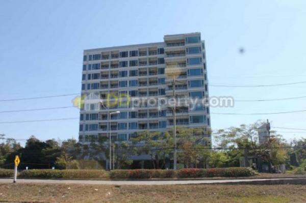 �Ң�ѭ �Ź�����