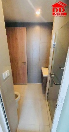 �͹� ���� 30.88 ���ҧ����