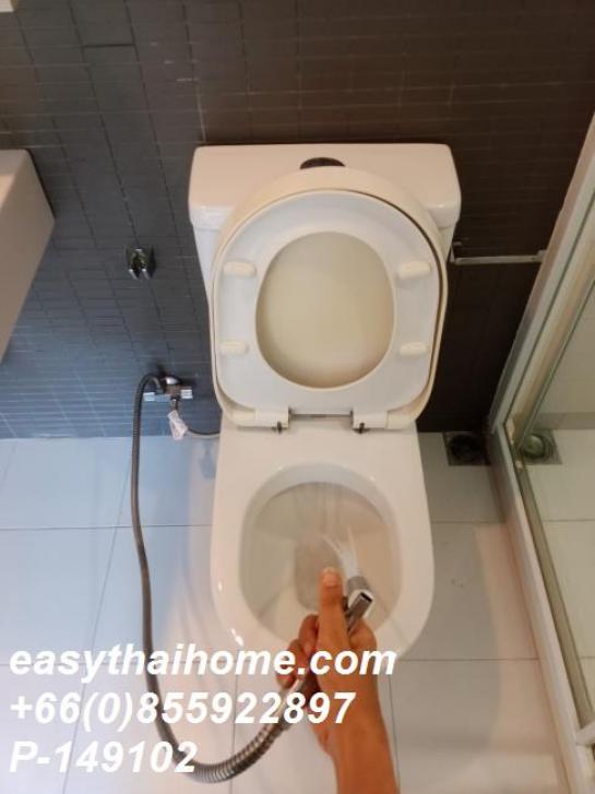 �͹�������ͧ��俿�� ����ͧ