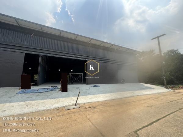 ⡴ѧ��ͧ��ǧ �� Kong property