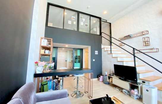 ��¤͹� Esplanade