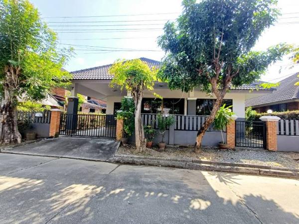 �Ң�ѭ �Ź�����