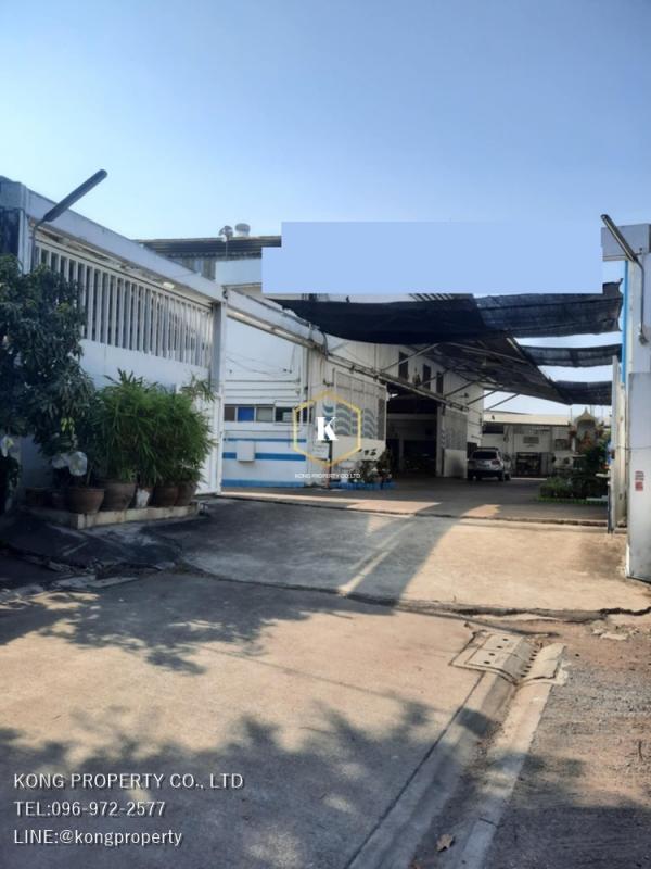 �ҧ�ع��¹ �� Kong property