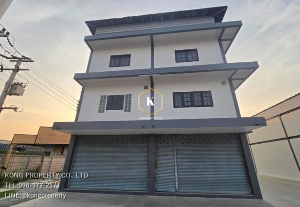 ⡴ѧ�����ҹ �� Kong property