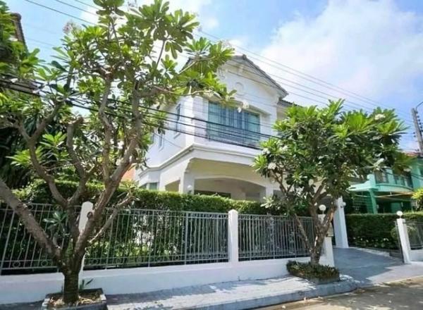 �ҧ�� �� kongpl