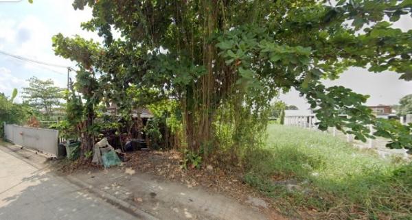 ���Թ �Դ����͹��յ 2,500,000 �ҷ