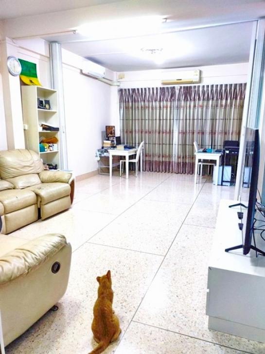 �Ҥ�þҳԪ���������ѭ �ҷ�