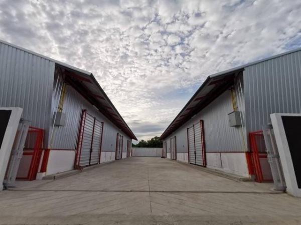 �ù��� �� kongpl