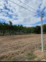 ��·��Թ �Ҥһ�С�Ȣ�� 4,800,000 �ҷ