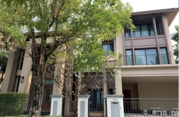 �ѹ����� �� coasset22