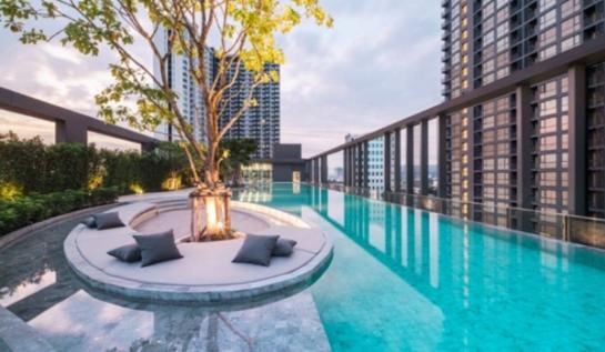 �͹����������ú �ҧ����