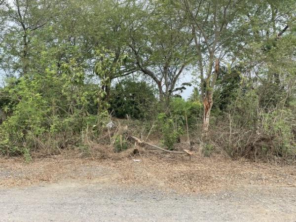 ���Թ˹ͧ�͡