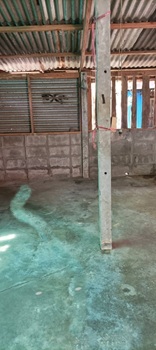 ��º�ҹ �оҹ�Թ�ԨԵ�