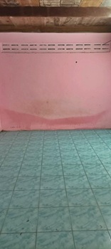 ��º�ҹ �оҹ�Թ�ԨԵ�