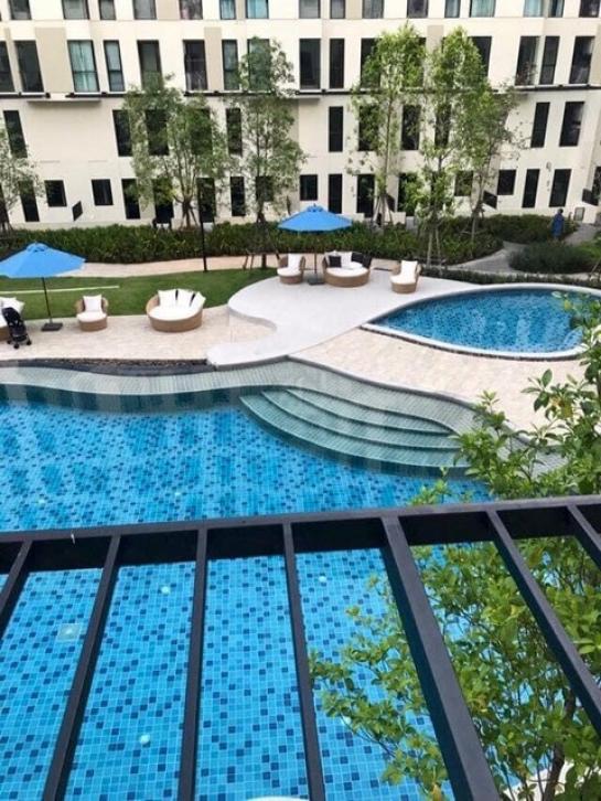 �����طû�ҡ�� �� asangha PL