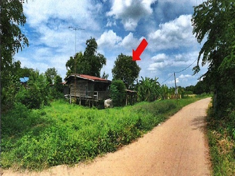 บ้าน ชั้นเดียว ลพบุรี