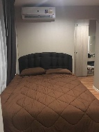 ��� ��������� �͹� �֧���� ��ا෾