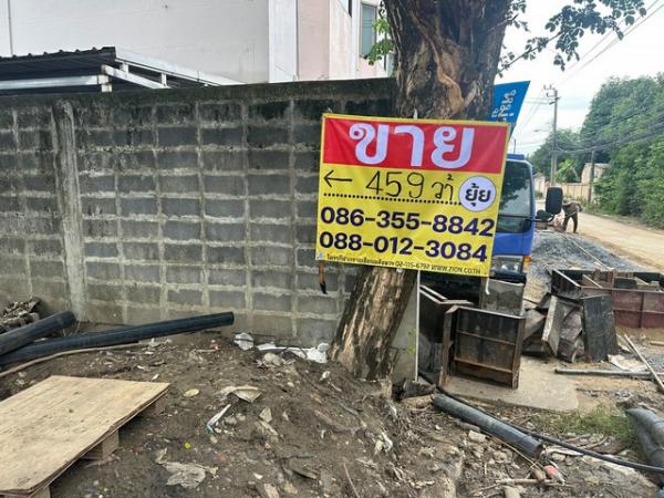 �ҧ�л� �� zionasset1