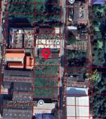 ��� ���Թ �ҧ�л�