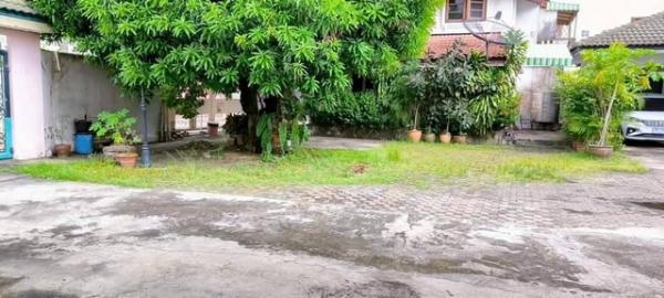 ��º�ҹ ���Ե��ا෾