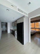 �͹� ����