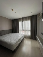 �͹� ����