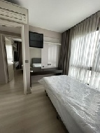 �͹� 85 ���ҧ����