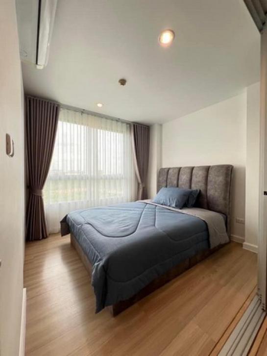 �ѹ����� �� kulchaya1