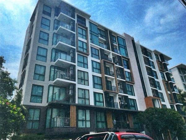 ������� �� panaya.opalopal