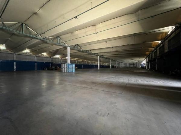 ⡴ѧ���ͧ �� sopa