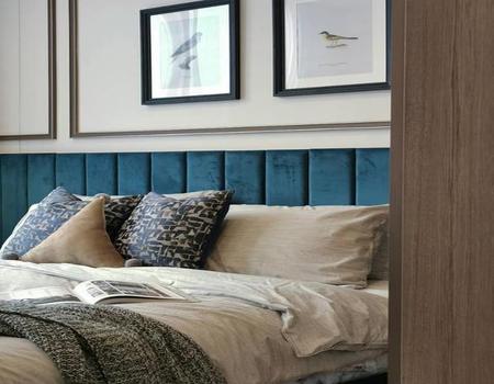 ��¾��� �� incube