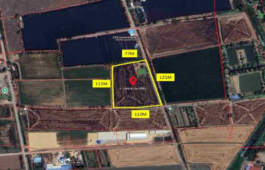 ��¹�û�� �� Asset X Property