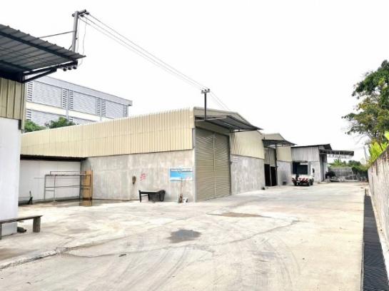 �ç�ҹ������ ���觪ѹ��ا෾