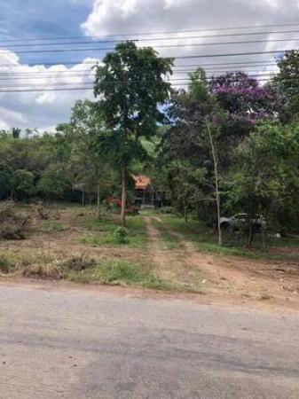 ��¾�ɳ��š �� Estate Corner