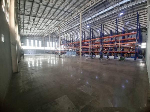 ⡴ѧ��ا෾ �� asangha PL