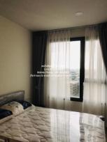 ������ �͹� ��بѡ� ��ا෾