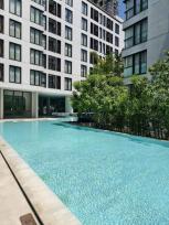 �͹� �Ѳ�� 35 ���ҧ����