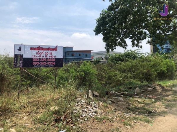 ���Թ 21 ���