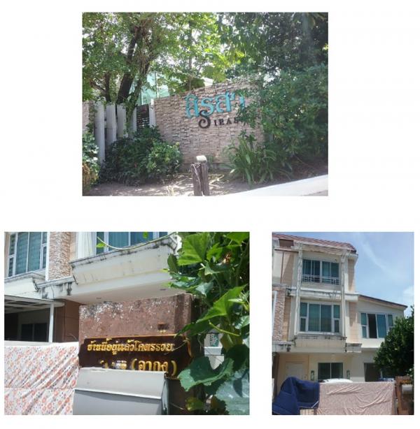 ���ͧ �� compos2566